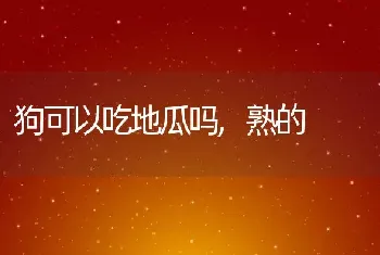 狗可以吃地瓜吗，熟的