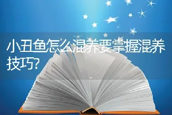 小丑鱼怎么混养要掌握混养技巧？