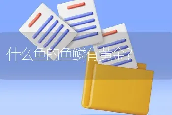 兔子可以吃糠和玉米面吗？