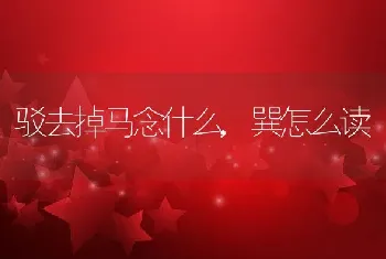 驳去掉马念什么，巽怎么读