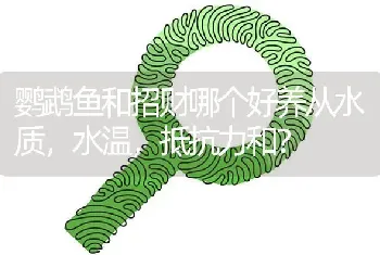 鹦鹉鱼和招财哪个好养从水质，水温，抵抗力和？