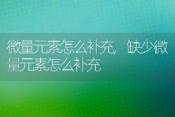 微量元素怎么补充，缺少微量元素怎么补充