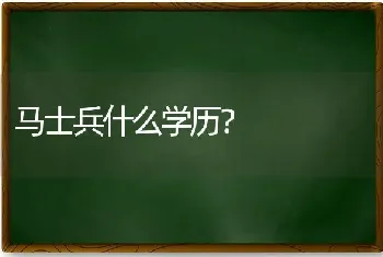 马士兵什么学历？