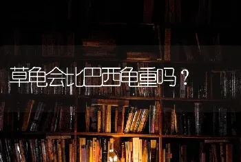 草龟会比巴西龟重吗？