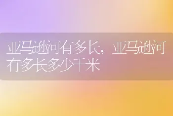 亚马逊河有多长，亚马逊河有多长多少千米