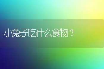 秋田犬怎么看年龄？