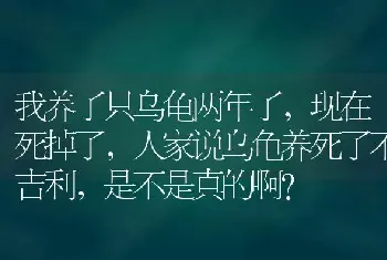 我养了只乌龟两年了，现在死掉了，人家说乌龟养死了不吉利，是不是真的啊？