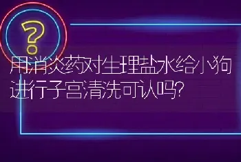 比熊抖毛怎么回事？