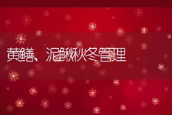 黄鳝、泥鳅秋冬管理