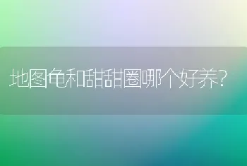 金刚鹦鹉鱼与血鹦鹉有什么区别?10厘米内的金刚鹦鹉鱼的价格是多少？