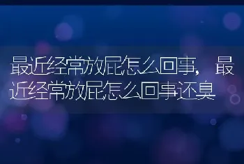 最近经常放屁怎么回事，最近经常放屁怎么回事还臭