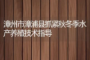 漳州市漳浦县抓紧秋冬季水产养殖技术指导