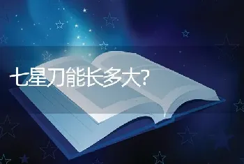 七星刀能长多大？