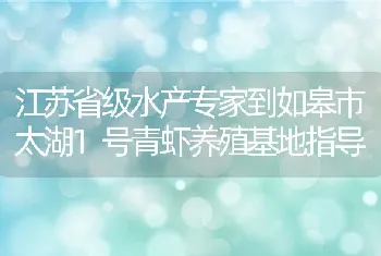 江苏省级水产专家到如皋市太湖1号青虾养殖基地指导