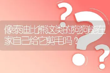 像泰迪比熊这类的狗狗能在家自己给它剪毛吗？