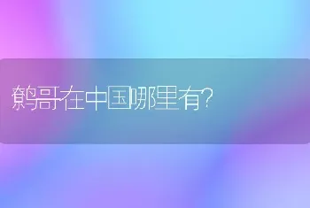 鹩哥在中国哪里有？