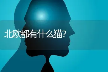 北欧都有什么猫？