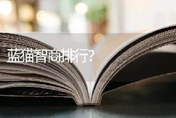 灰色的熊布偶叫什么名字？