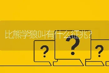 比熊学狼叫有什么征兆？