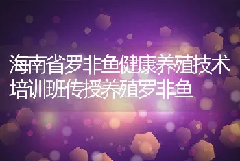 海南省罗非鱼健康养殖技术培训班传授养殖罗非鱼