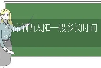 东锦龟晒太阳一般多长时间？