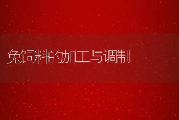 罗非鱼稻田养殖技术