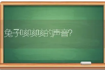 兔子咳咳咳的声音？