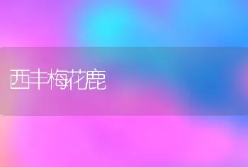 西丰梅花鹿