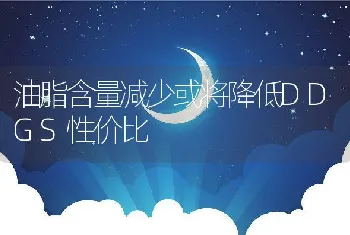 油脂含量减少或将降低DDGS性价比