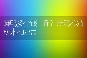 麻鸭多少钱一斤？麻鸭养殖成本和效益