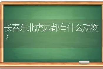 金毛犬适合吃什么水果。更佳？