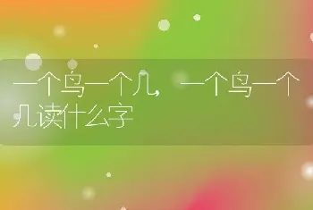 一个鸟一个几，一个鸟一个几读什么字