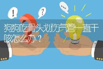 狗狗吃骨头划伤气管一直干咳怎么办？