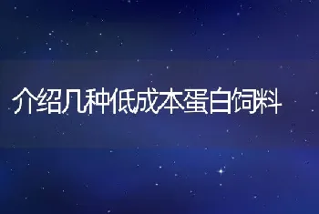 介绍几种低成本蛋白饲料