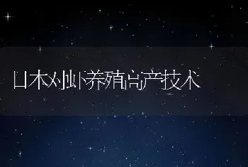 日本对虾养殖高产技术