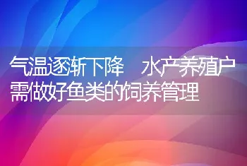 气温逐渐下降水产养殖户需做好鱼类的饲养管理