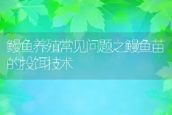 鳗鱼养殖常见问题之鳗鱼苗的投饵技术