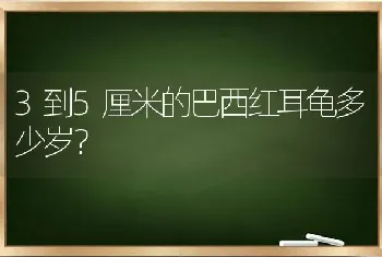 3到5厘米的巴西红耳龟多少岁？