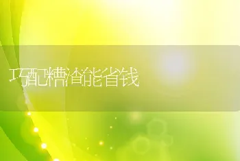 保育猪饲养管理中值得反省的4个问题