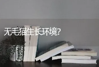 无毛猫生长环境？