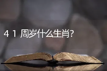 41周岁什么生肖？