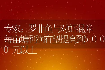 专家：罗非鱼与对虾混养每亩塘利润有望提高到5000元以上