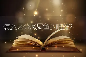 麻烦问一下我养的地图鱼为什么天天爬在鱼缸低下也不吃食也不游是为什么呀？