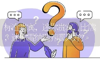 标准贵宾，迷你贵宾，比熊，迷你雪纳瑞养哪只好？