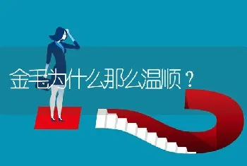 金毛为什么那么温顺？