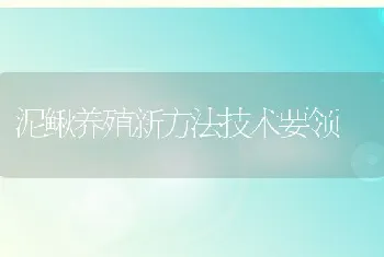 泥鳅养殖新方法技术要领