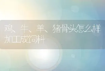 鸡、牛、羊、猪骨头怎么样加工成饲料