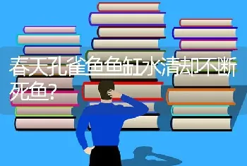 春天孔雀鱼鱼缸水清却不断死鱼？