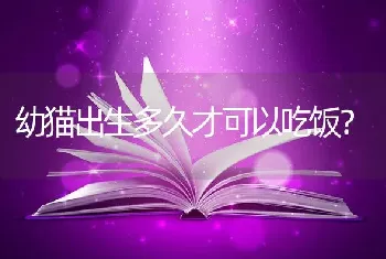 幼猫出生多久才可以吃饭？