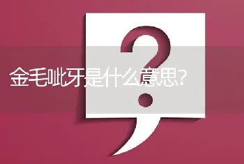 金毛呲牙是什么意思？